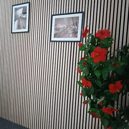 Alojamento de Acomodação e Pequeno-almoço Marlon